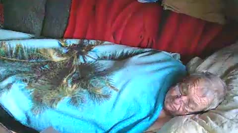 Snapshot of bomber59potsdam chatting on January 25, 11:02 am Bomber59potsdam online show from January 25, 11:02 am