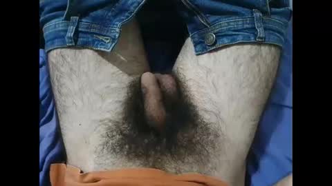 Snapshot of bomvemcam chatting on December 5, 10:46 am Im Bom - Tip if You Liked my Hairy Body - Private Show is Open - Read more about me in the bio below online show from December 5, 10:46 am