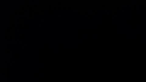 Snapshot of bonny_clyde_xx_ chatting on December 12, 8:47 am Soffy Brooks Independent model online show from December 12, 8:47 am