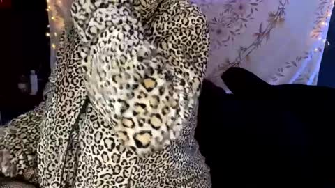 BossMom online show from December 13, 4:33 am