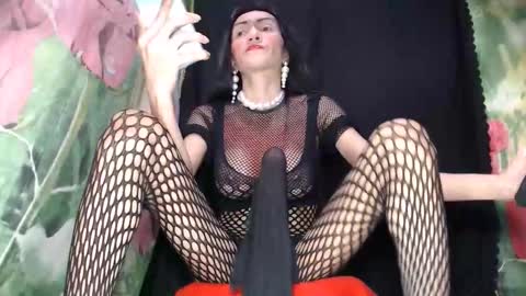 A M A N D A  MONSTERCOCK online show from October 2, 6:31 am