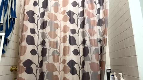 Snapshot of boysetsfire34 chatting on January 9, 12:46 am boysetsfire34 online show from January 9, 12:46 am