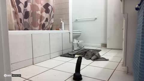 Snapshot of boysetsfire34 chatting on October 8, 5:16 am boysetsfire34 online show from October 8, 5:16 am