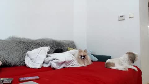 Snapshot of bratzdoll1994 chatting on November 4, 5:12 pm bratzdoll1994 online show from November 4, 5:12 pm