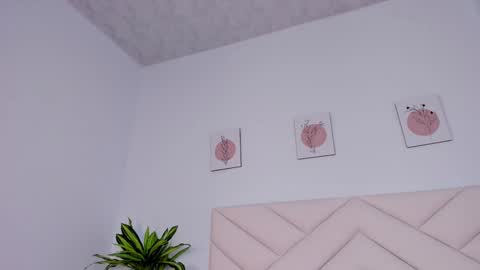   online show from December 23, 2:07 pm