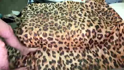 Breezy Xo online show from November 27, 2:35 am