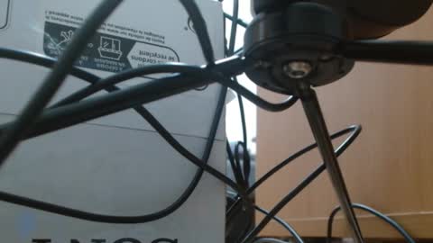 brigittebia777 online show from October 10, 3:38 am