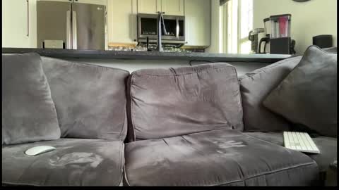 brwm2013 online show from September 21, 7:48 pm