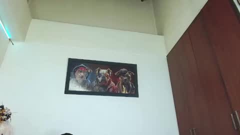 BRYAN HOT23 online show from December 2, 1:55 am