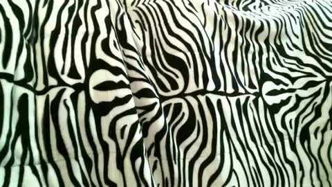 bustinfree online show from September 15, 3:34 pm