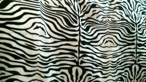 bustinfree online show from September 16, 3:35 pm