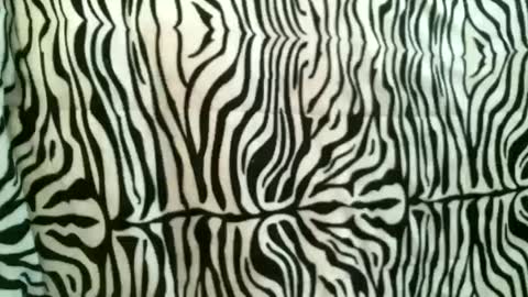 bustinfree online show from October 18, 12:39 pm