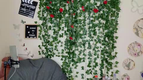 Snapshot of butterflybootyy chatting on November 1, 2:19 pm butterfly booty online show from November 1, 2:19 pm