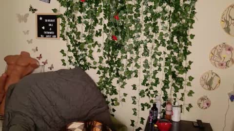 Snapshot of butterflybootyy chatting on November 3, 5:09 am butterfly booty online show from November 3, 5:09 am