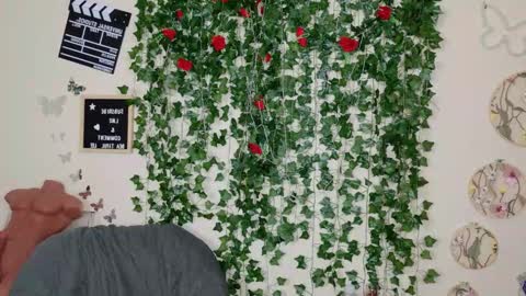 Snapshot of butterflybootyy chatting on November 3, 8:43 pm butterfly booty online show from November 3, 8:43 pm