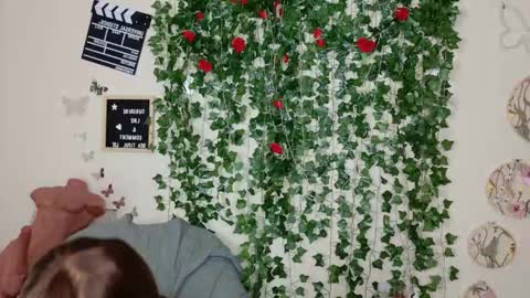 Snapshot of butterflybootyy chatting on November 14, 10:47 am butterfly booty online show from November 14, 10:47 am