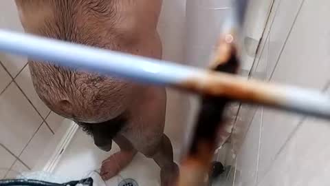 bxpapi69 online show from November 10, 4:22 am