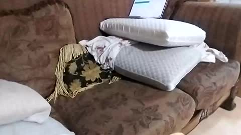 bxpapi69 online show from November 22, 11:59 pm