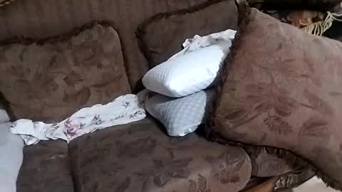 bxpapi69 online show from November 26, 11:50 pm