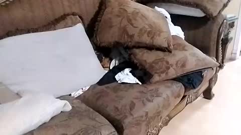 bxpapi69 online show from December 1, 10:37 pm