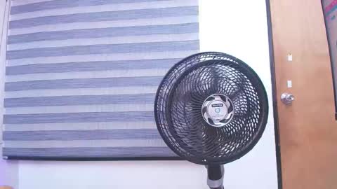 Carolina online show from February 19, 3:06 am