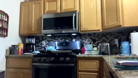 calishop1 online show from December 15, 3:56 am