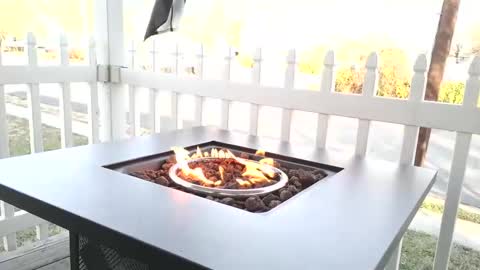 Chillaxin lets talk  online show from December 25, 2:23 pm