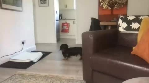 CamDoAttitude online show from September 23, 11:46 am