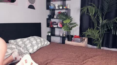 Sandy online show from December 26, 9:33 am