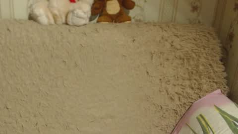 say meow and send tip  online show from December 13, 5:21 pm