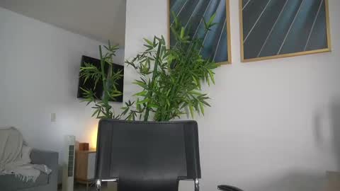 Snapshot of canelasungirl chatting on September 10, 7:36 pm Jency NEW IG IMCANELA online show from September 10, 7:36 pm