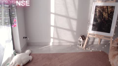 NONA    follow online show from December 31, 8:37 am