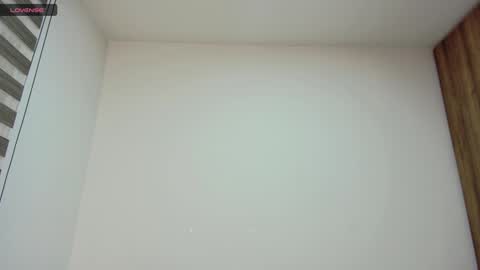 Char online show from January 25, 3:40 am