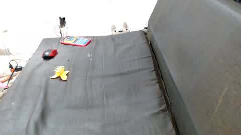 Snapshot of caroljeager chatting on December 7, 12:41 am carol my sign is capricorn online show from December 7, 12:41 am