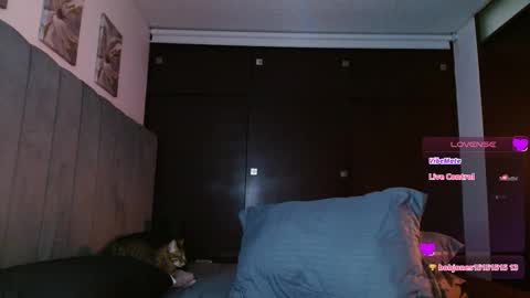 Carolinne online show from February 27, 5:58 pm