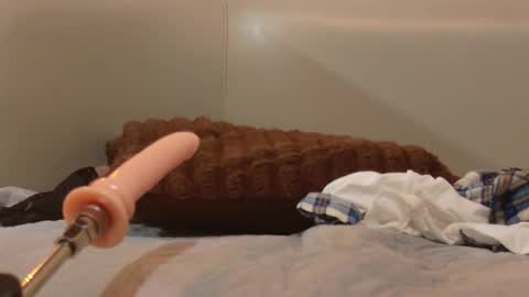 cataleya1_sm online show from November 26, 3:57 pm