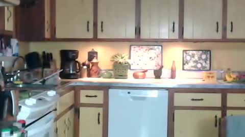 CATALYSTIC online show from December 31, 11:20 am