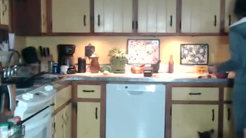 CATALYSTIC online show from January 13, 9:41 am