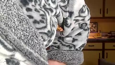 CATALYSTIC online show from March 10, 9:53 am