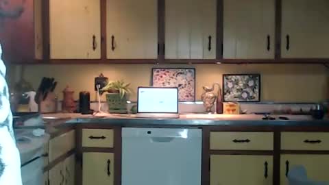 CATALYSTIC online show from September 10, 1:11 pm