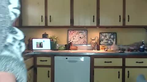 CATALYSTIC online show from September 14, 2:49 pm