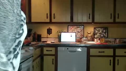 CATALYSTIC online show from October 26, 11:27 am