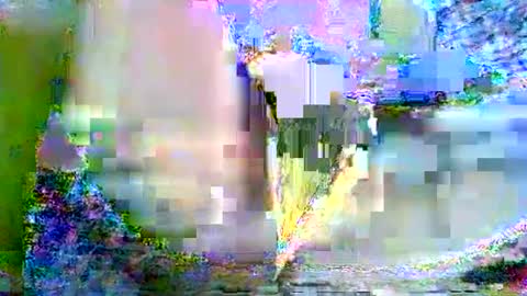 CathyXLisa online show from February 22, 8:18 am