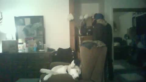 GigaChad online show from October 29, 5:42 am