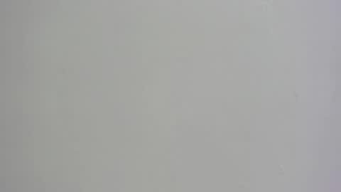 Channel online show from November 1, 6:15 am