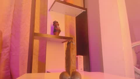 Chantall online show from January 7, 4:39 am