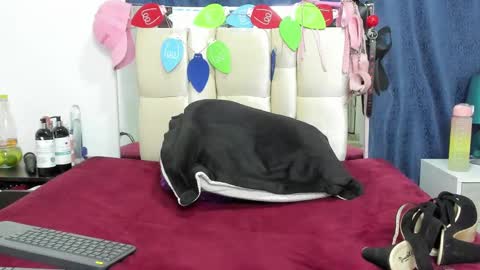 Charlott online show from December 17, 10:32 pm