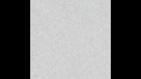  C H A R L O T T E  online show from September 24, 8:06 am