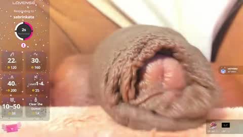 Char online show from February 25, 11:11 pm