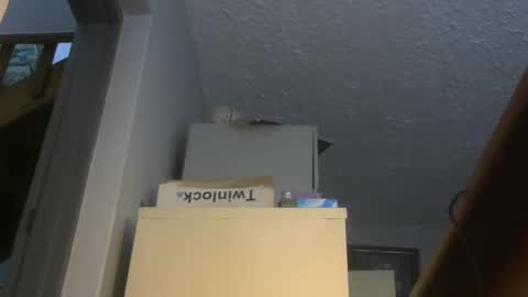 chaturbatordeluxe online show from November 17, 3:34 am